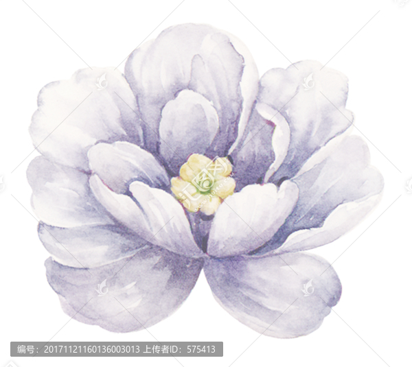 小花