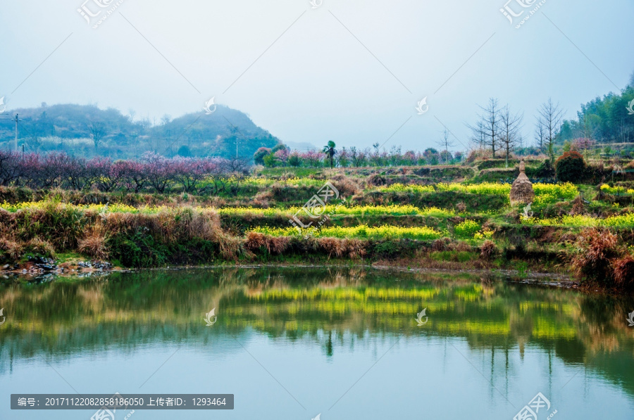 山村早春