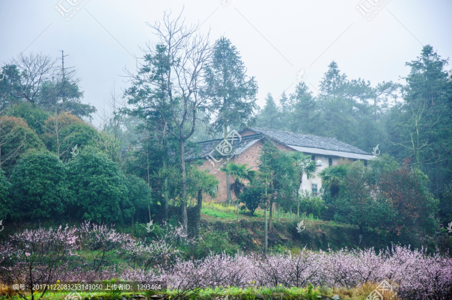 山村早春