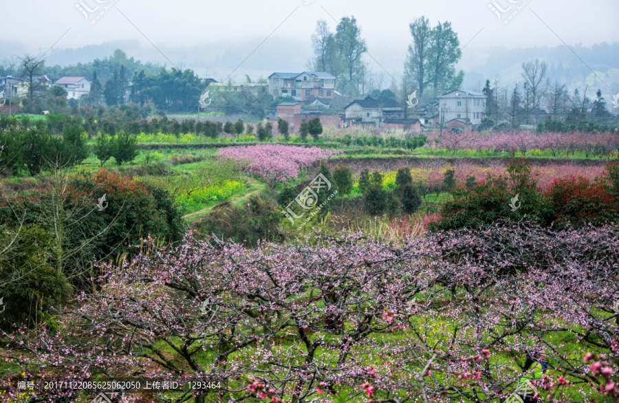 美丽乡村