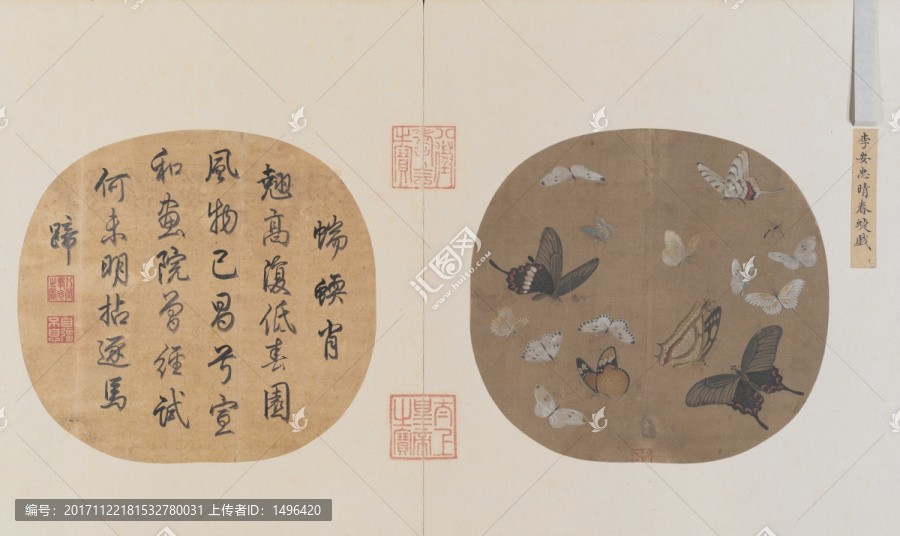 晴春蝶戲圖