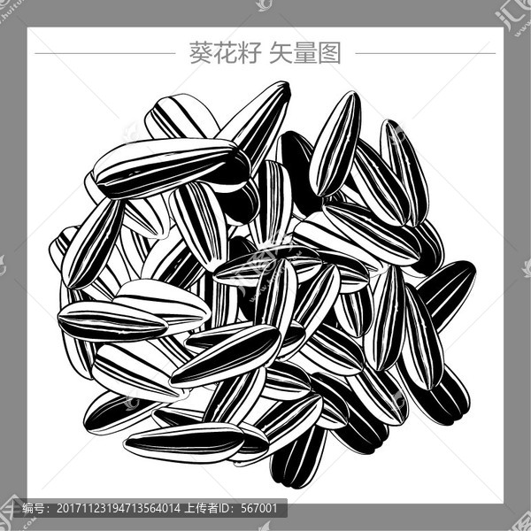 葵花籽矢量