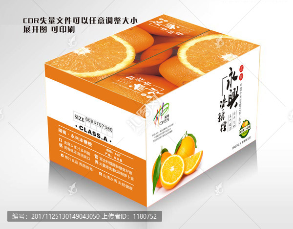 永興冰糖橙