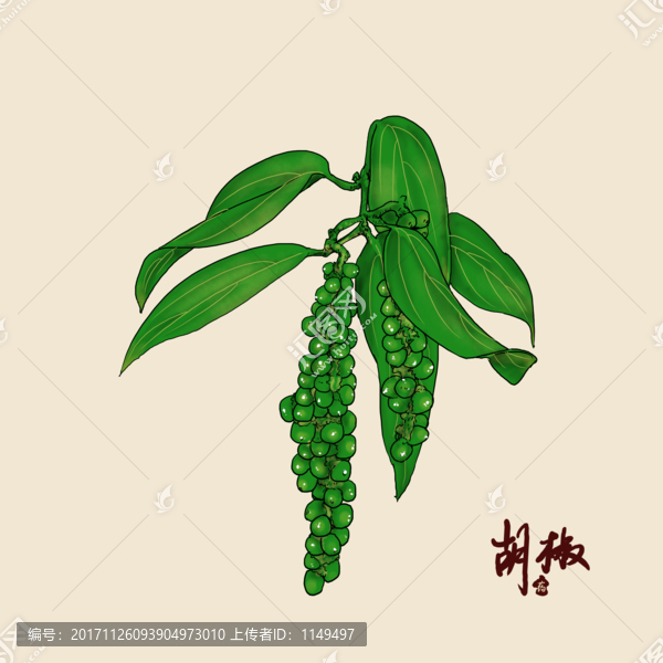 胡椒