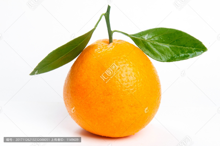 单个橙子高清