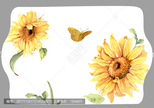 太陽花