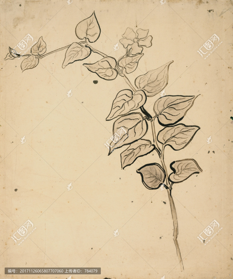 文森特梵高素描畫