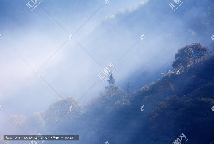 山坡,风景,晨雾