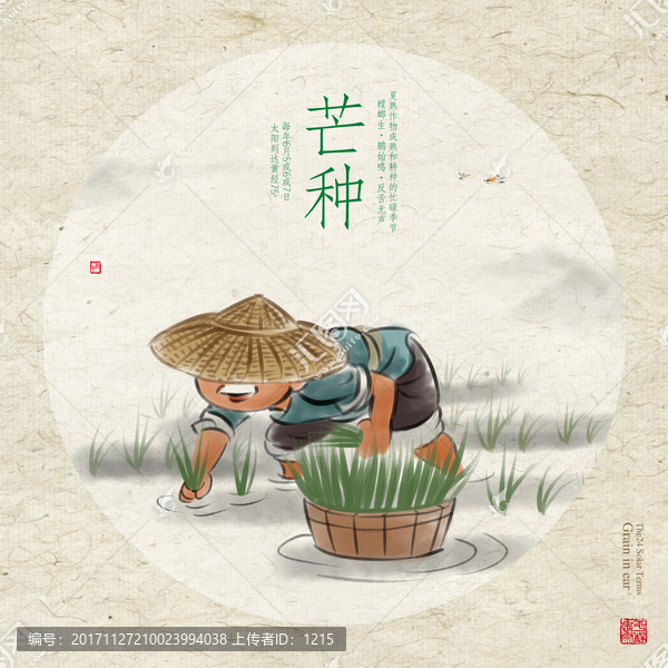 芒種