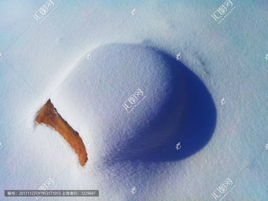 冰雪世界,雪景,北国风光