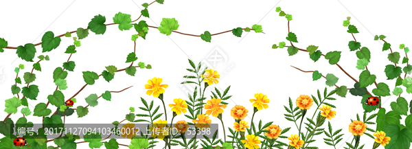 綠植背景