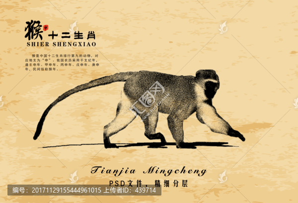 復(fù)古猴,裝飾畫(huà),猴子