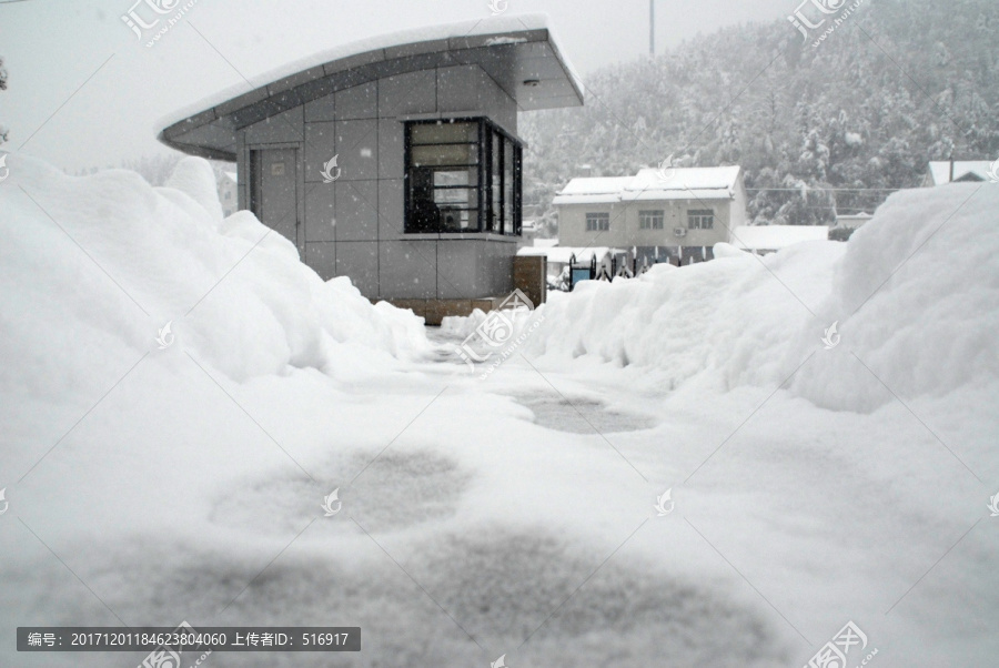 雪景,大雪,冰雪,白雪,鹅毛大