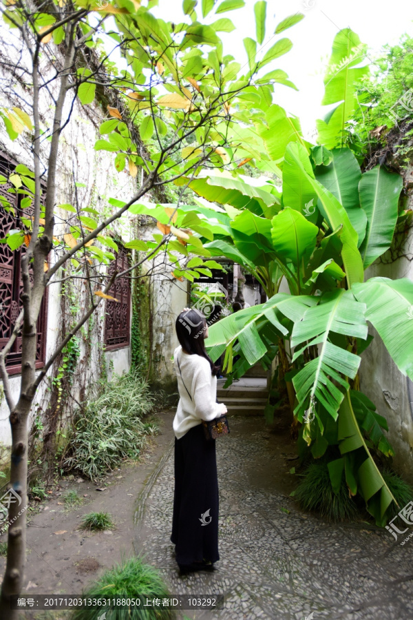 蘇州園林中的女游客