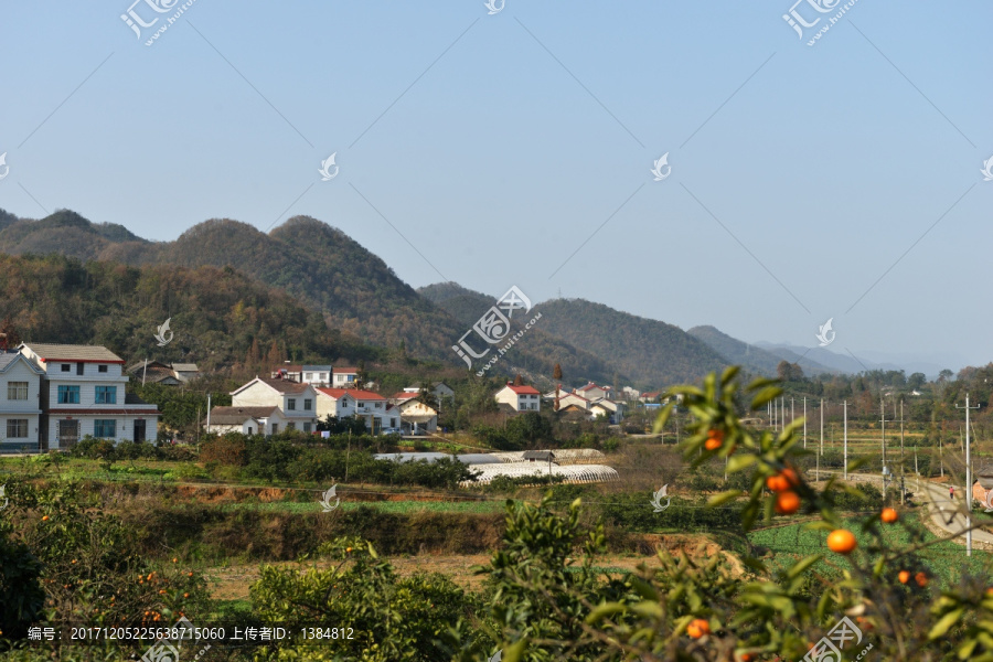 乡村,秋景,秋天