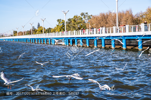 滇池湖景