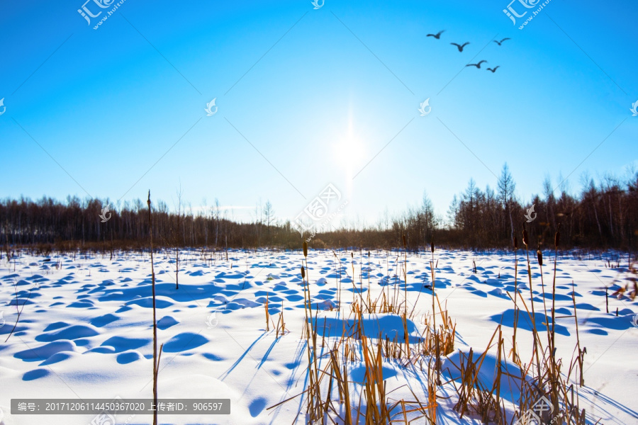 冬季雪景