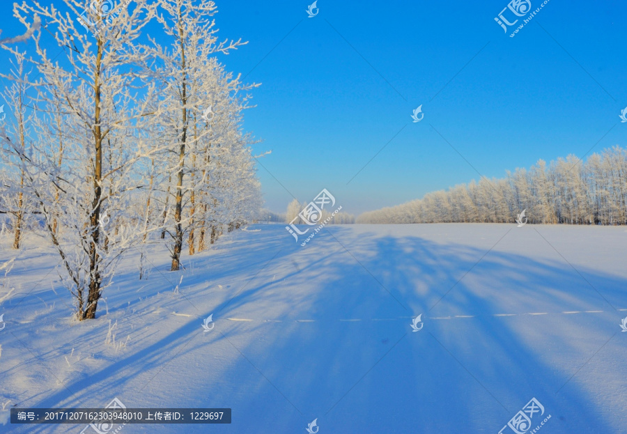 冰雪世界,阳光,白雪,树木