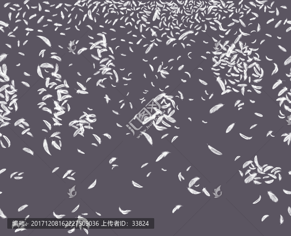 羽毛