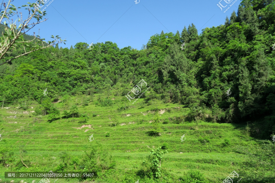 绿水青山