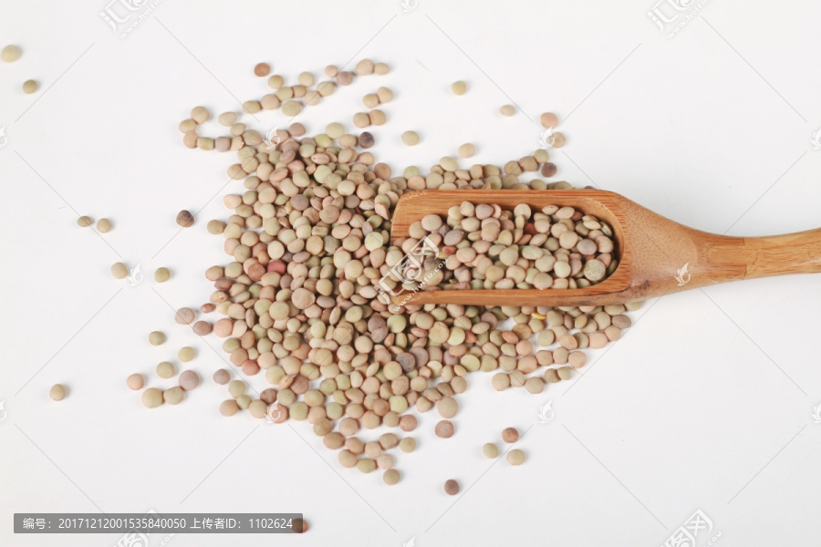 扁豆