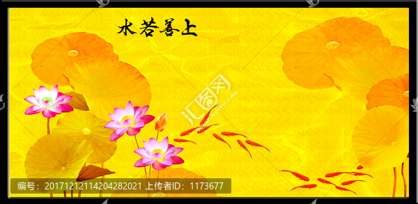 金色荷花