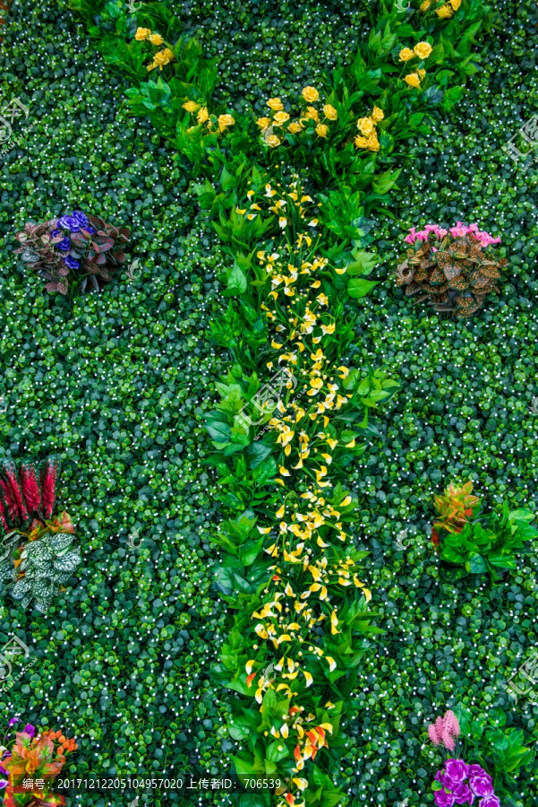 绿化墙,花墙,植物墙