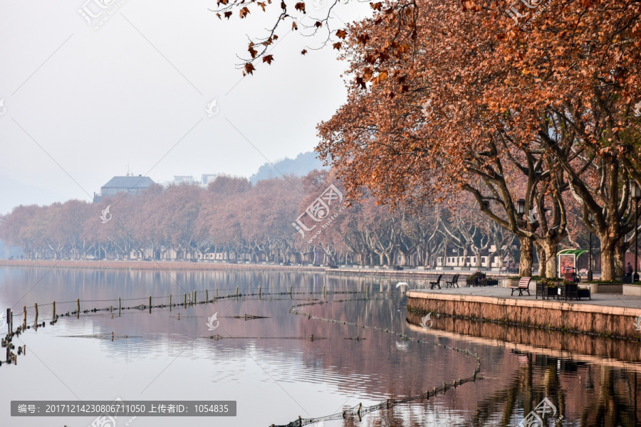 西湖秋景,秋风萧瑟