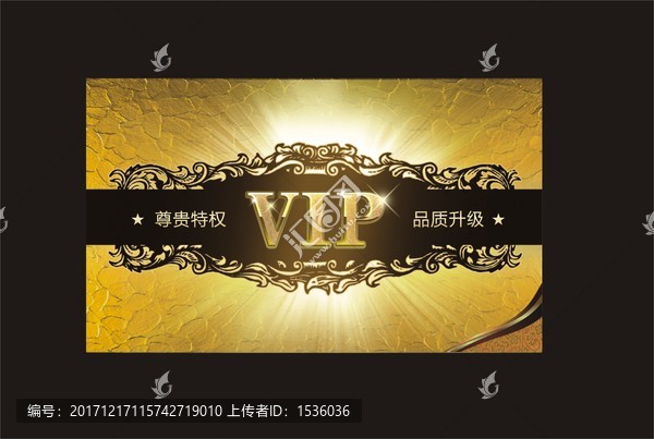 会员VIP