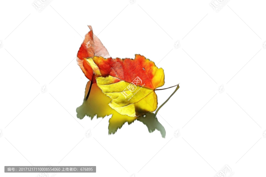紅葉
