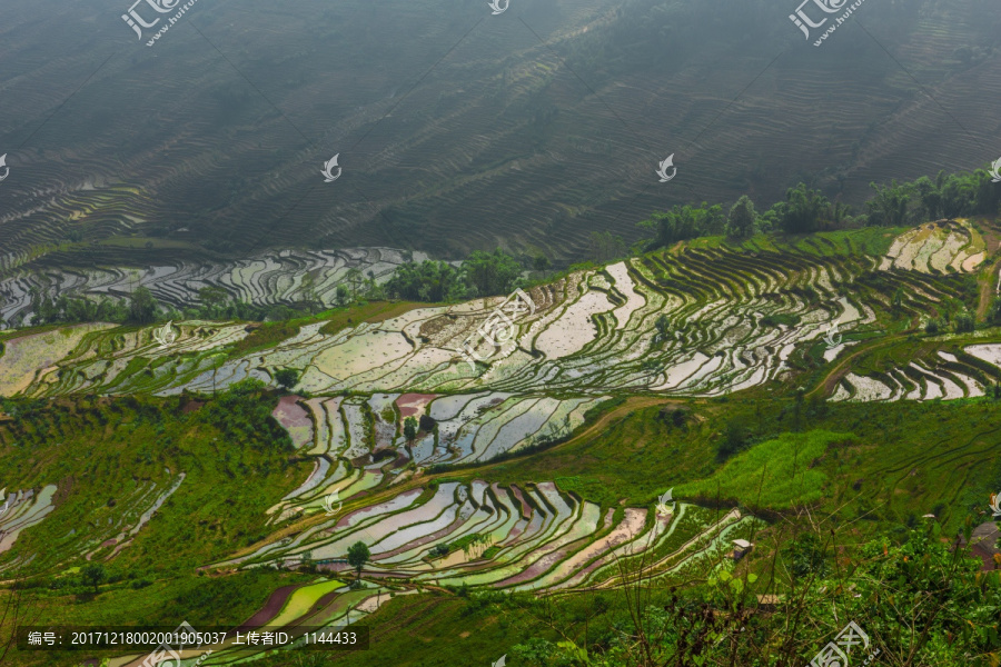 红河梯田