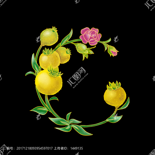 刺梨插畫