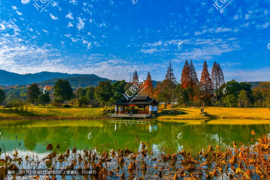 唯美风景