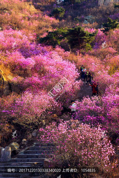 万山红