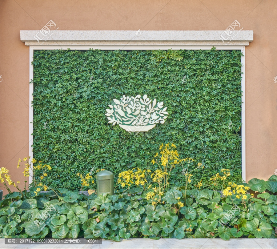 高清花卉图案植物墙