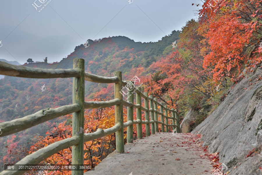 大山紅葉