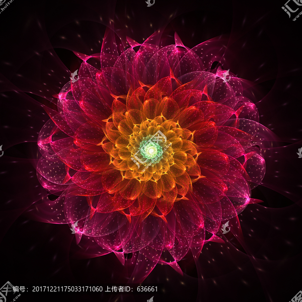 幻彩花紋