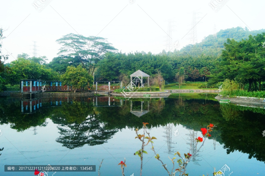 深圳寶安公園池塘美景