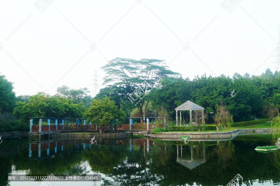 池塘美景