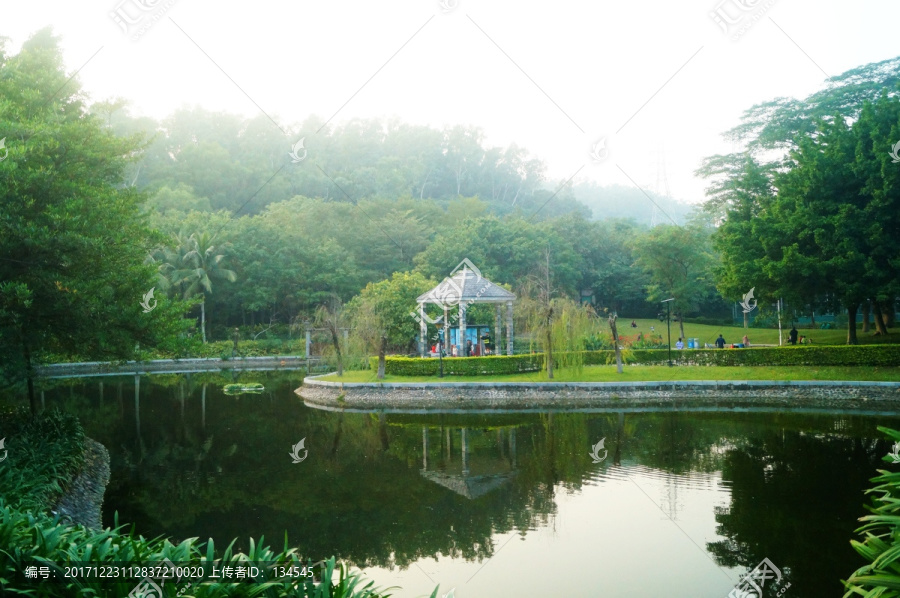 池塘美景