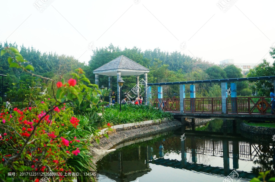 池塘涼亭美景