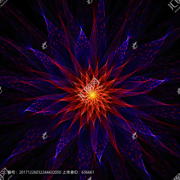 夢(mèng)幻之花