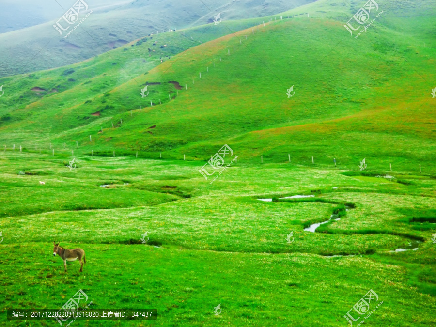 云南会泽大海草山