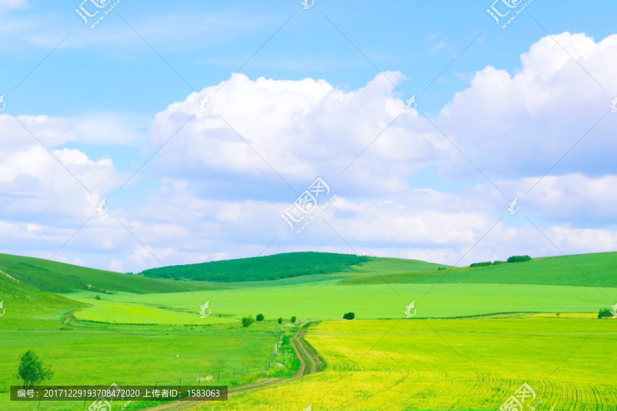 草原,蓝天,白云山丘