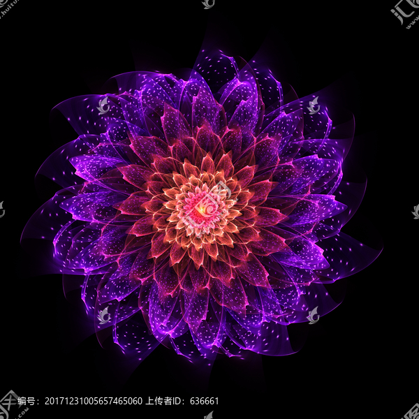 夢幻之花