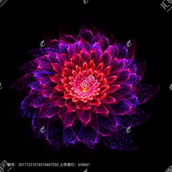 夢(mèng)幻之花