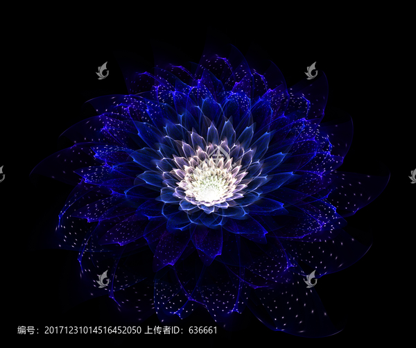 夢幻之花