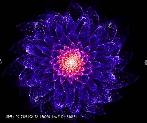 夢(mèng)幻之花