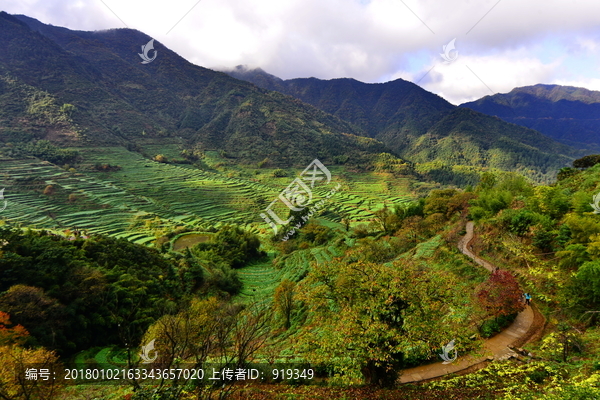 篁岭风光