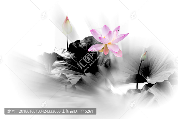 霧蒙蒙水墨荷花花韻